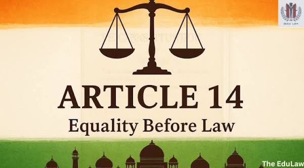 Article 14